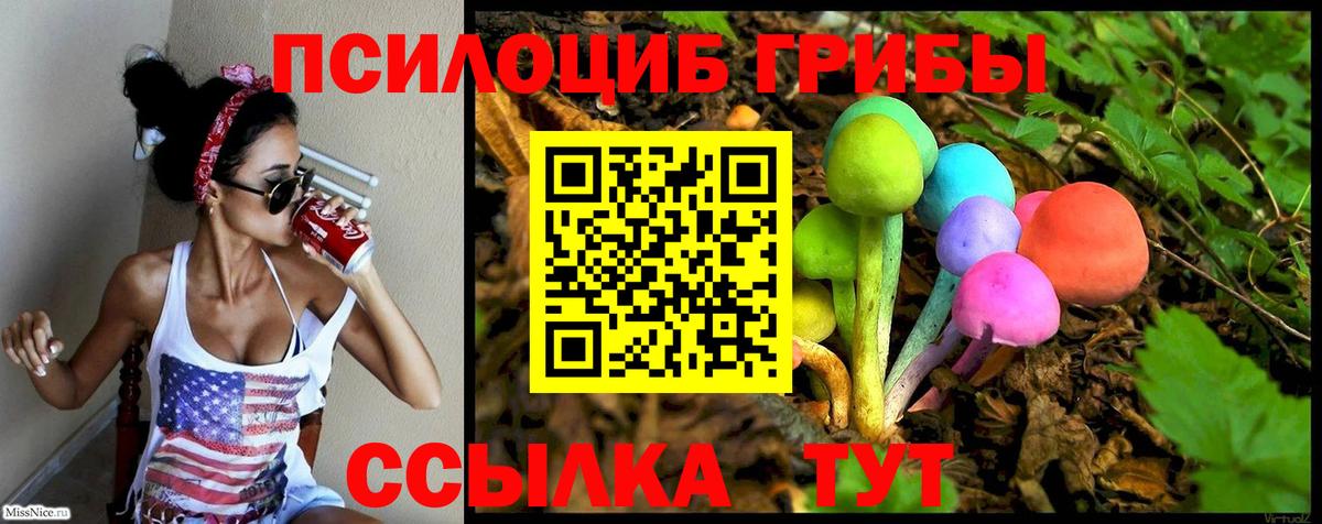 Псилоцибиновые грибы Psilocybine cubensis Дедовск
