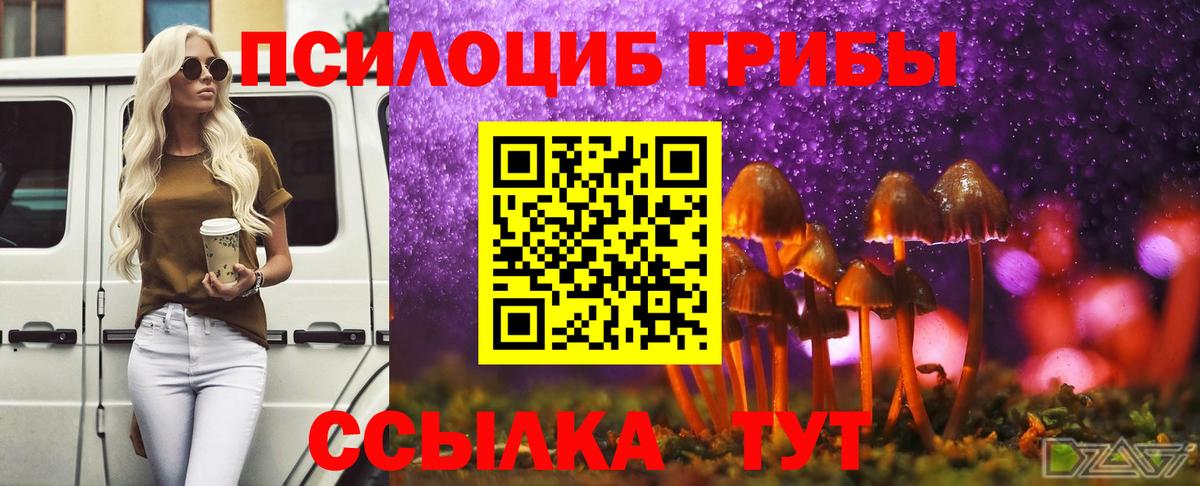 Псилоцибиновые грибы мухоморы  Вход с VPN  где купить   Дедовск 